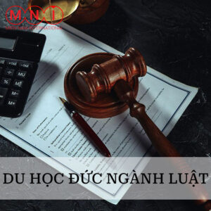 du học đức ngành luật