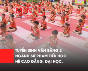 văn bằng 2 đại học ngành giáo dục tiểu học