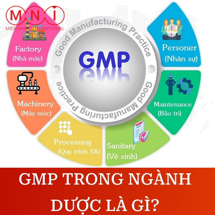 gmp trong ngành dược là gì