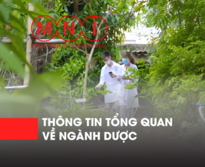 thông tin tổng quan về ngành dược