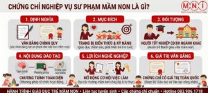 Chứng chỉ nghiệp vụ sư phạm mầm non là gì?