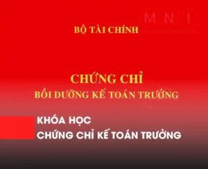 khóa học chứng chỉ nghiệp vụ kế toán trưởng online