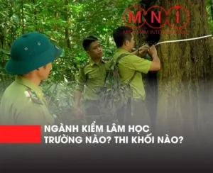 Ngành Kiểm Lâm góp phần nâng cao năng lực quản trị rừng, thực thi pháp luật lâm nghiệp, giảm thiểu mất rừng và suy thoái rừng. Đồng thời, kiểm soát nguồn gốc hợp pháp, gia tăng giá trị cho sản phẩm gỗ và lâm sản ngoài gỗ, thúc đẩy phát triển dịch vụ môi trường rừng, đáp ứng yêu cầu trong nước và quốc tế.