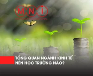 Tìm hiểu tổng quan về ngành kinh tế.