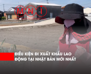 điều kiện xuất khẩu lao động Nhật Bản