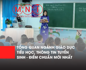 Tổng quan ngành giáo dục tiểu học, thông tin tuyển sinh, điểm chuẩn