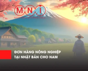 Đơn hàng nông nghiệp Nhật Bản dành cho nam: Cơ hội việc làm ổn định, thu nhập hấp dẫn