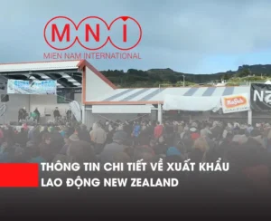 xuất khẩu lao động New Zealand
