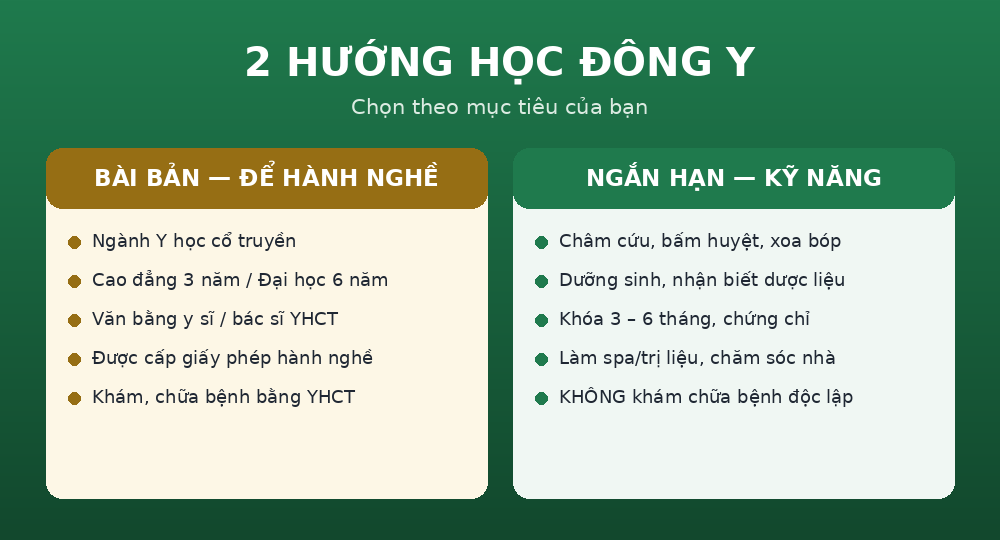 2 hướng học đông y: bài bản để hành nghề và khóa ngắn hạn kỹ năng