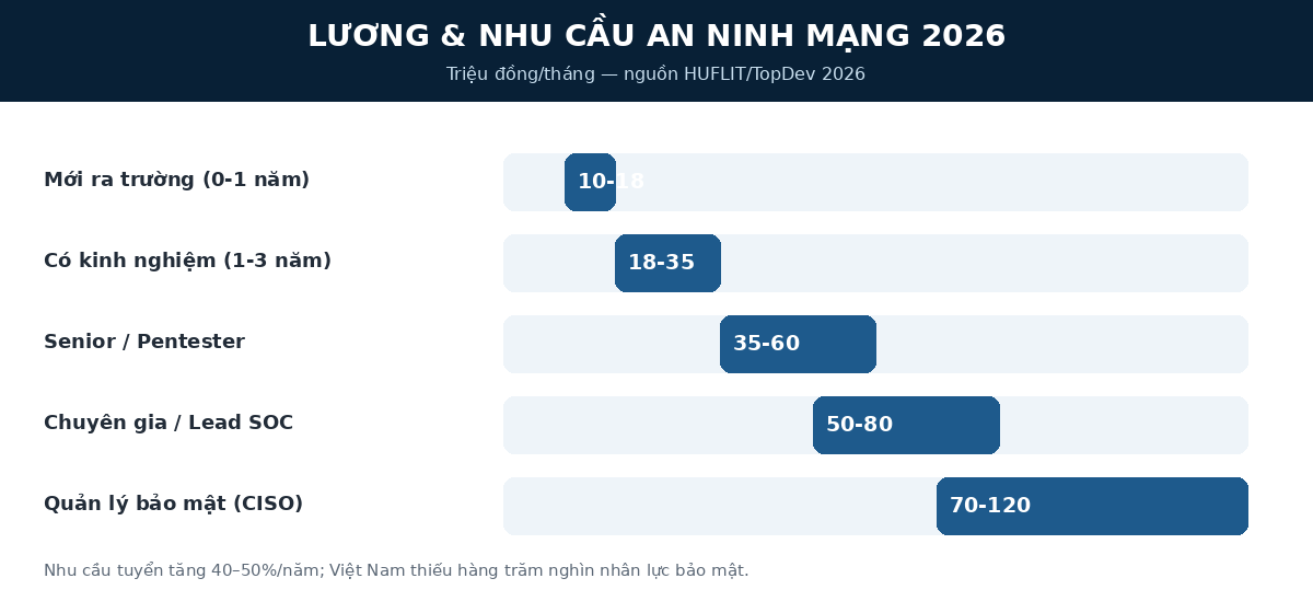 anm luong Lương và nhu cầu an ninh mạng 2026