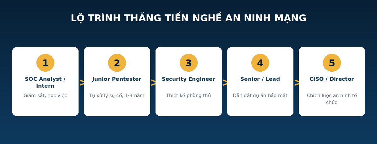 anmra lotrinh Lộ trình thăng tiến nghề an ninh mạng