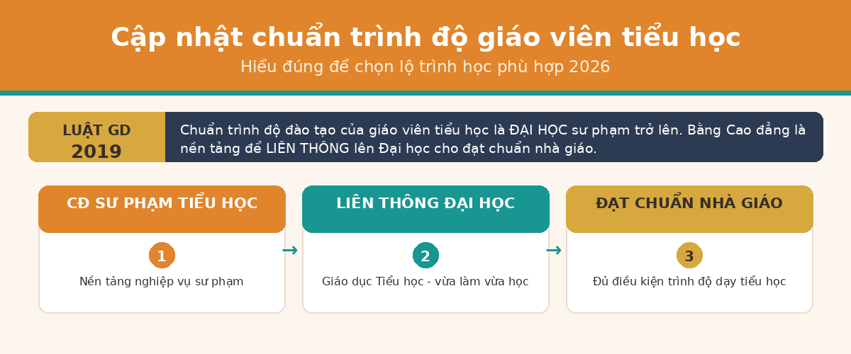 chuan trinhdo spth Chuẩn trình độ giáo viên tiểu học theo Luật Giáo dục 2019 và lộ trình liên thông