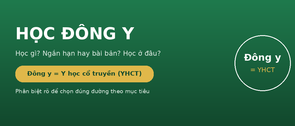 Học đông y là học gì - ngắn hạn hay bài bản, học ở đâu