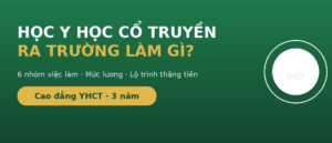Học Y học cổ truyền ra trường làm gì - việc làm, lương, lộ trình