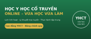 Học Y học cổ truyền online - vừa học vừa làm, bằng chính quy
