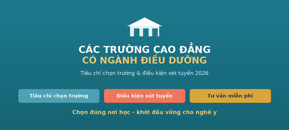 hero dirdd Các trường Cao đẳng có ngành Điều dưỡng - tiêu chí chọn trường và xét tuyển