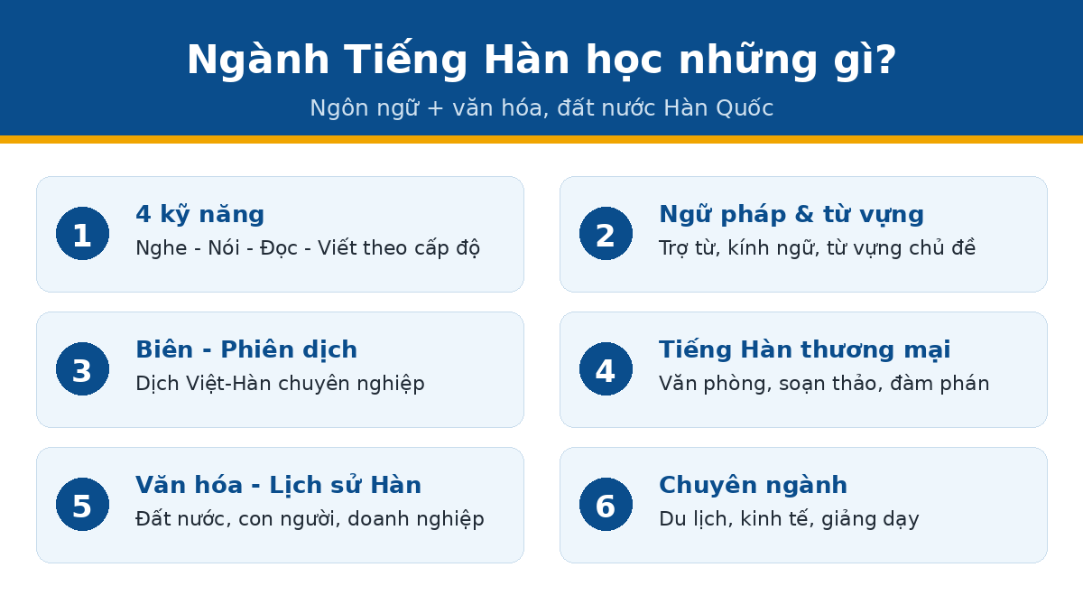 hoc gi pillar han Ngành Tiếng Hàn học những gì