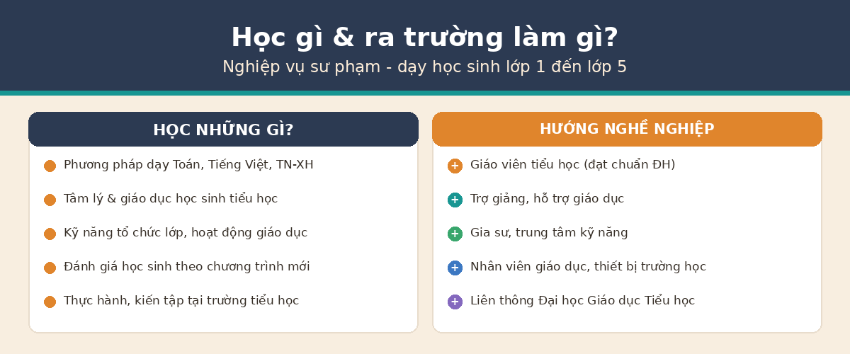 hoc nghe spth Học gì và hướng nghề nghiệp ngành Sư phạm Tiểu học