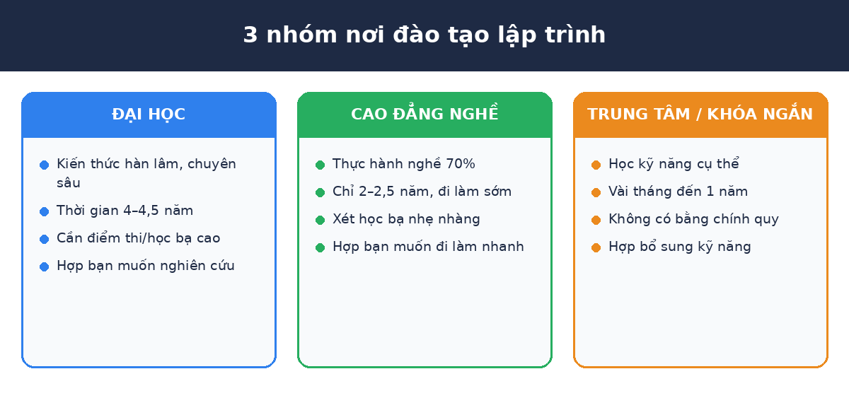 3 nhóm nơi đào tạo lập trình: Đại học, Cao đẳng, trung tâm