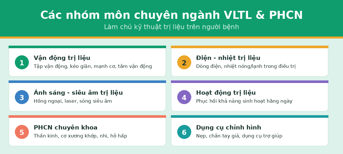 nhom mon hocgi vltl Các nhóm môn chuyên ngành vật lý trị liệu phục hồi chức năng