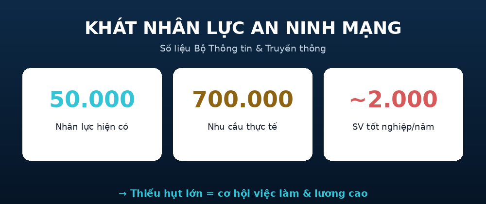 nhucau anm Khát nhân lực an ninh mạng - số liệu Bộ TT&TT