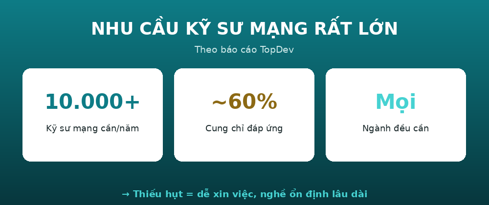 nhucau qtm Nhu cầu kỹ sư mạng rất lớn - báo cáo TopDev