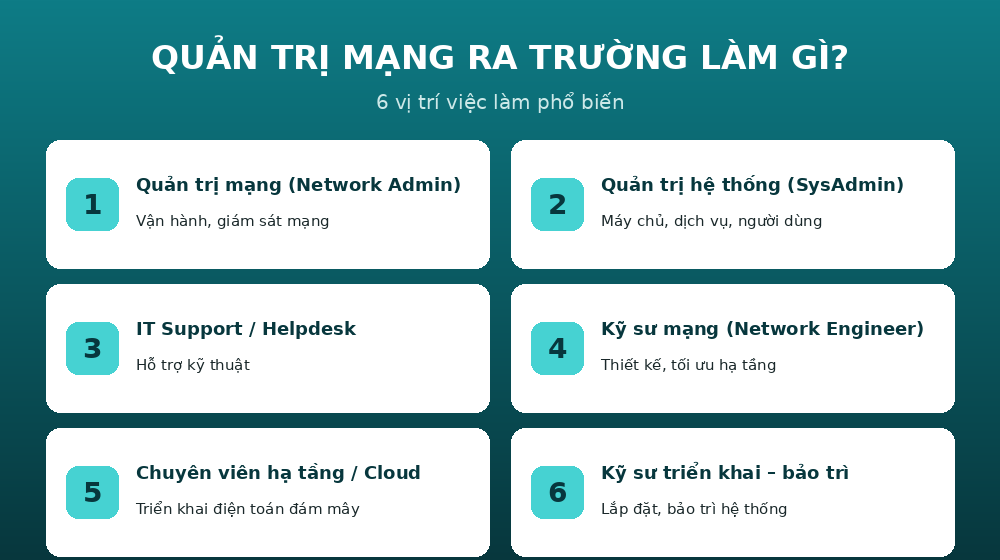 ra lam gi qtm Quản trị mạng ra trường làm gì - 6 vị trí