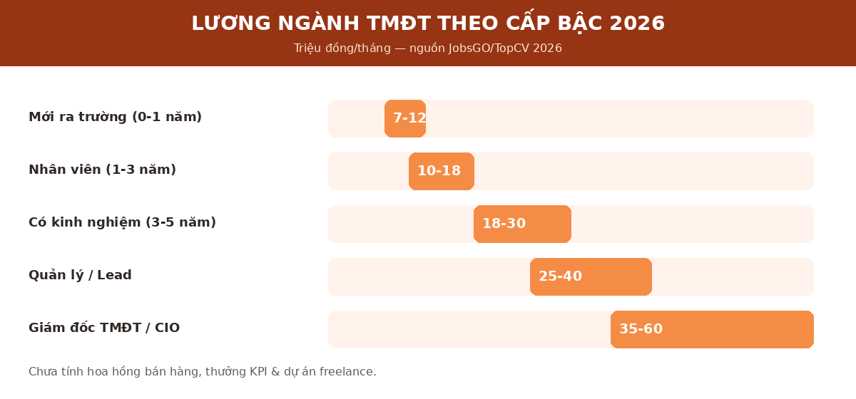 Lương ngành thương mại điện tử theo cấp bậc 2026