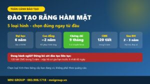 Cac loai hinh dao tao rang ham mat 2026: dai hoc, cao dang, chung chi y si, dao tao lien tuc CME