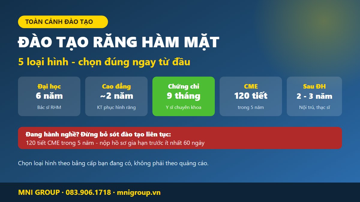 mni dao tao rhm Các loại hình đào tạo răng hàm mặt 2026: đại học, chứng chỉ y sĩ, kỹ thuật phục hình, đào tạo liên tục