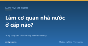 Làm cơ quan nhà nước ở cấp nào? — Trung ương đến cấp tỉnh · cấp xã bố trí nhân lực